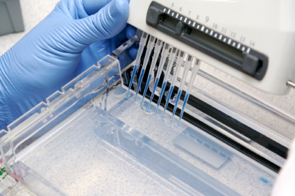 IStock 000003580433XSmall